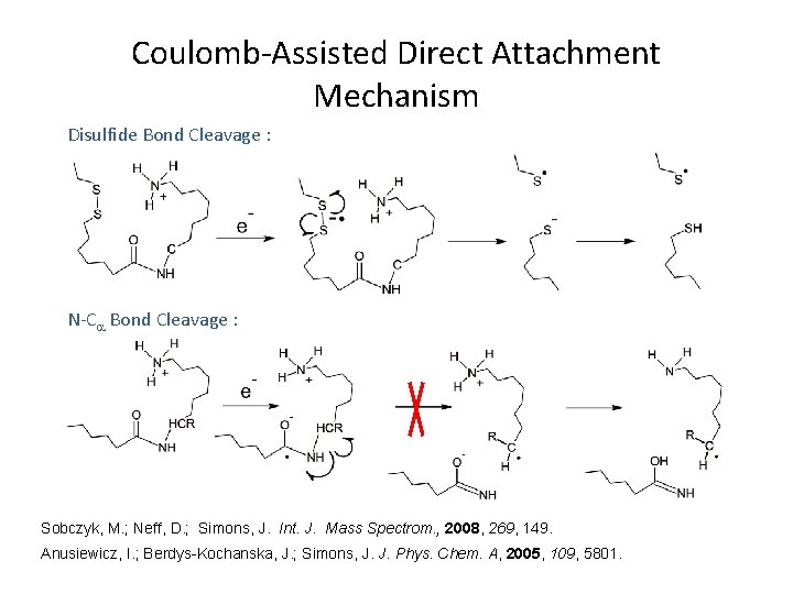 Coulomb-Assisted Direct Attachment Mechanism Disulfide Bond Cleavage : N-C Bond Cleavage : Sobczyk, M.