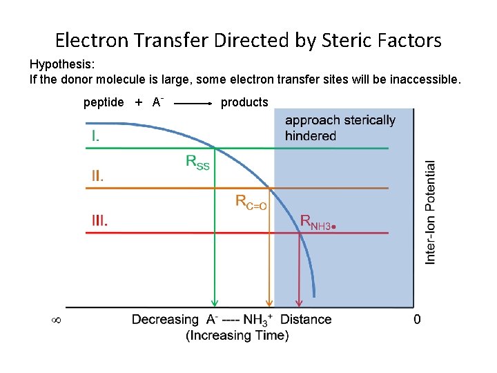 Electron Transfer Directed by Steric Factors Hypothesis: If the donor molecule is large, some