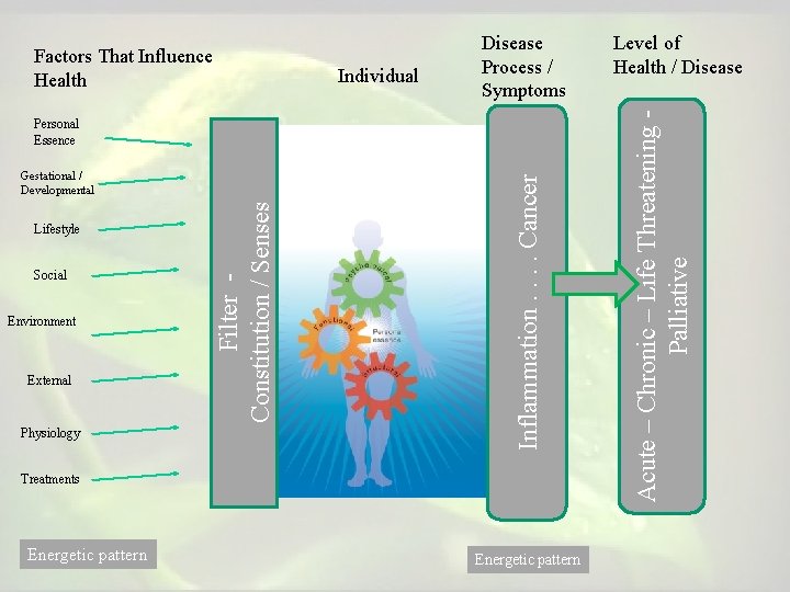 Individual Disease Process / Symptoms Lifestyle Social Environment External Physiology Filter Constitution / Senses