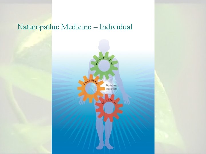 Naturopathic Medicine – Individual Naturopathic Medicine – Individual