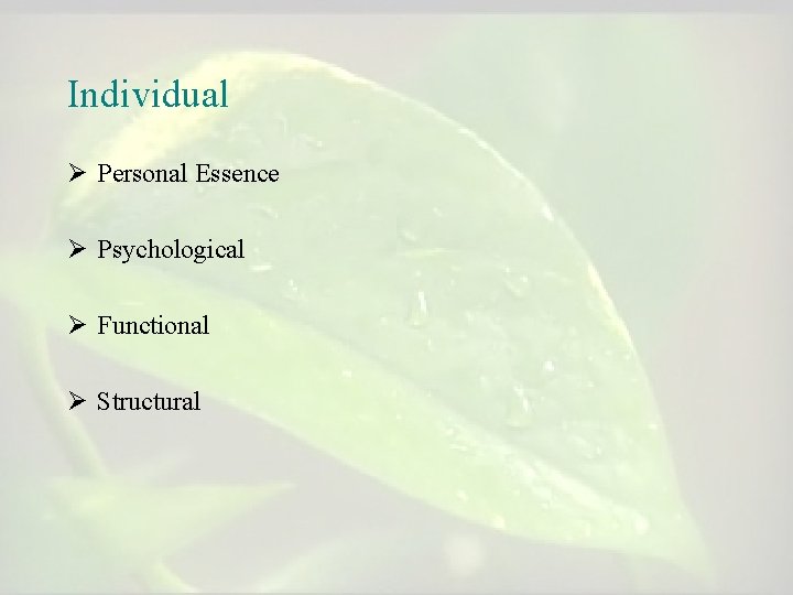 Individual Ø Personal Essence Ø Psychological Ø Functional Ø Structural Individual Ø Personal Essence Ø Psychological Ø Functional Ø Structural