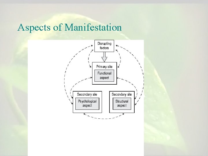 Aspects of Manifestation 