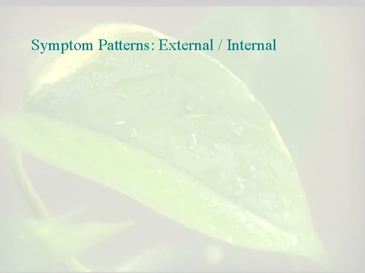 Symptom Patterns: External / Internal Symptom Patterns: External / Internal