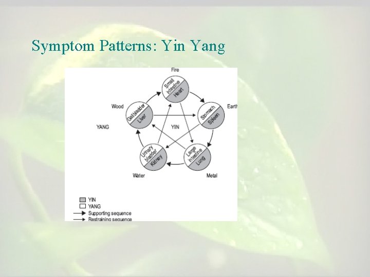 Symptom Patterns: Yin Yang Symptom Patterns: Yin Yang