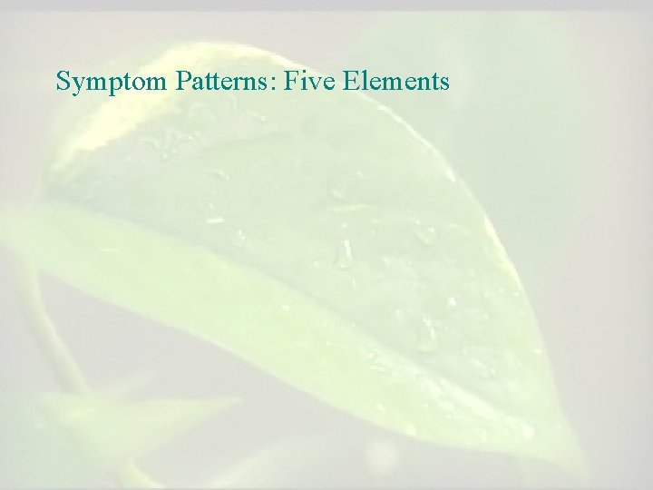 Symptom Patterns: Five Elements 