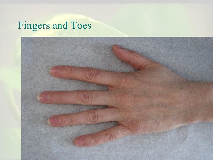 Fingers and Toes Fingers and Toes