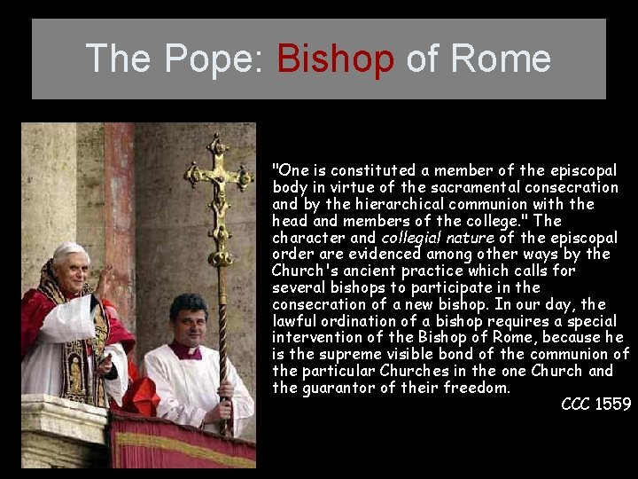 The Pope: Bishop of Rome "One is constituted a member of the episcopal body
