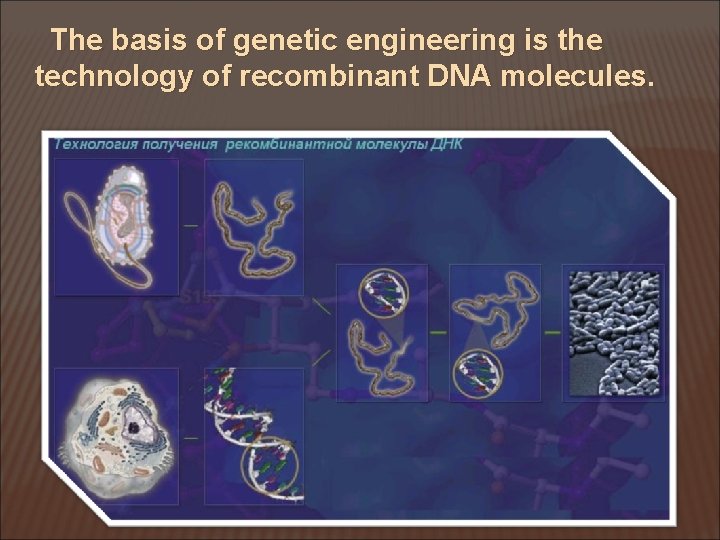 The basis of genetic engineering is the technology of recombinant DNA molecules. 