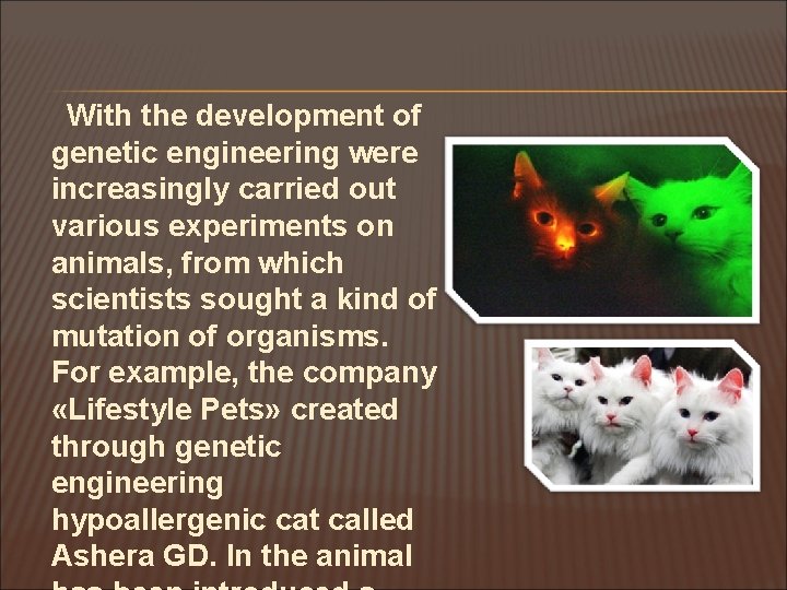 With the development of genetic engineering were increasingly carried out various experiments on animals,