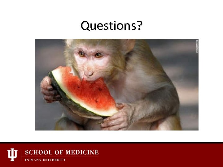 Questions? 