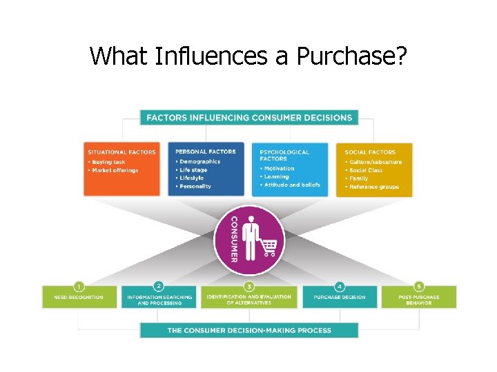 What Influences a Purchase? 