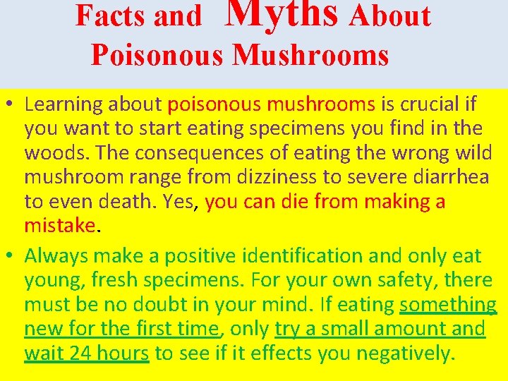 Facts and Myths About Poisonous Mushrooms • Learning about poisonous mushrooms is crucial if