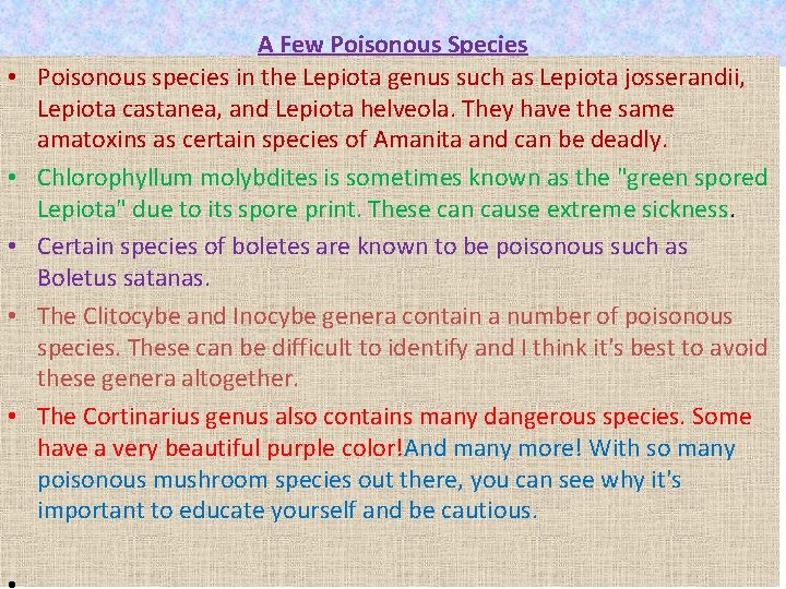  • • • A Few Poisonous Species Poisonous species in the Lepiota genus