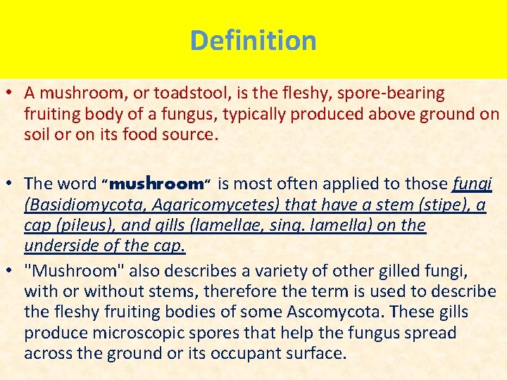 Definition • A mushroom, or toadstool, is the fleshy, spore-bearing fruiting body of a