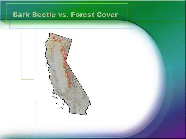 Bark Beetle vs. Forest Cover 