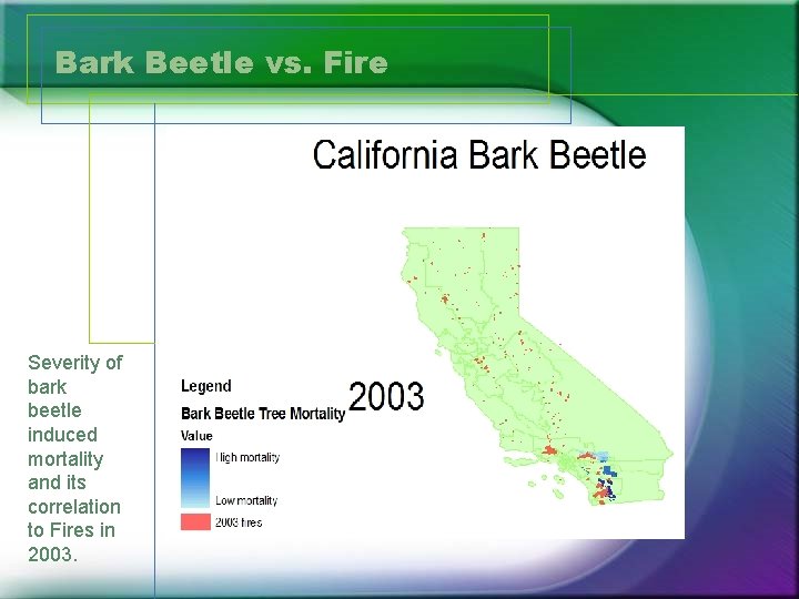 Bark Beetle vs. Fire Severity of bark beetle induced mortality and its correlation to