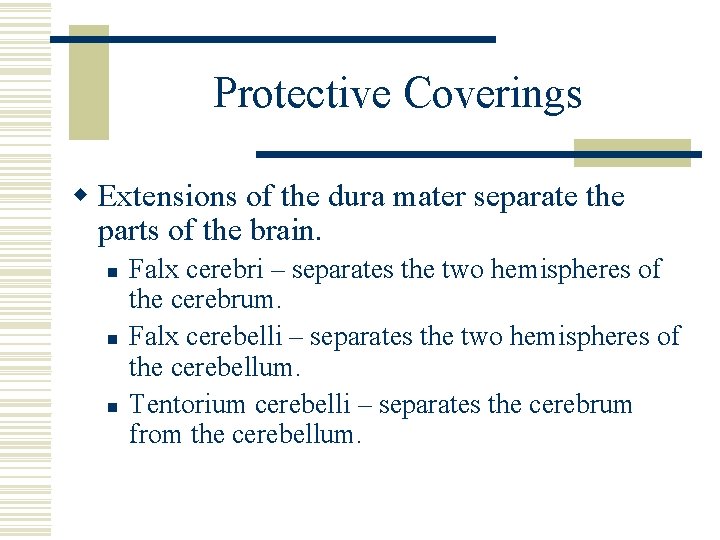 Protective Coverings w Extensions of the dura mater separate the parts of the brain.