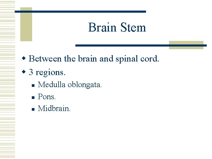 Brain Stem w Between the brain and spinal cord. w 3 regions. n n