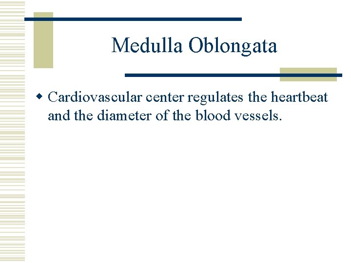 Medulla Oblongata w Cardiovascular center regulates the heartbeat and the diameter of the blood