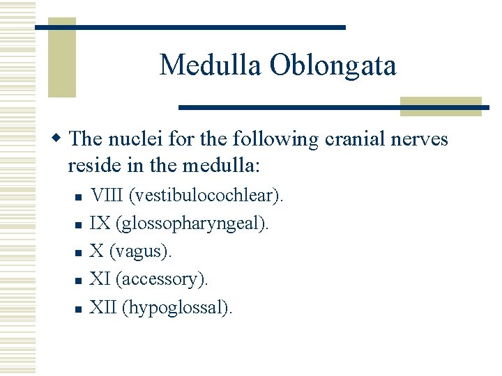 Medulla Oblongata w The nuclei for the following cranial nerves reside in the medulla: