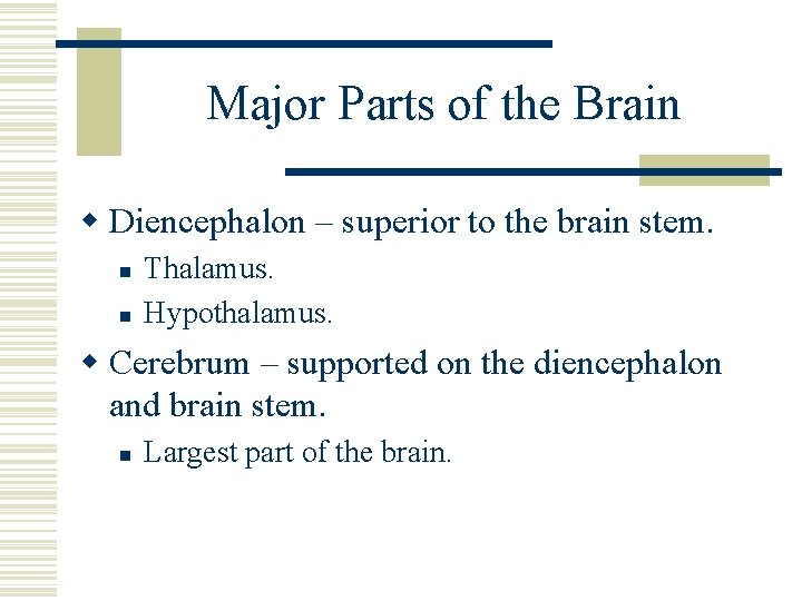 Major Parts of the Brain w Diencephalon – superior to the brain stem. n