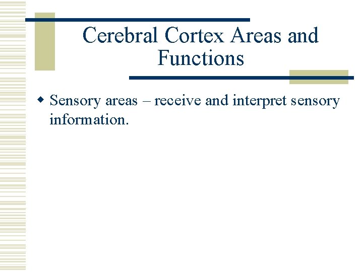 Cerebral Cortex Areas and Functions w Sensory areas – receive and interpret sensory information.