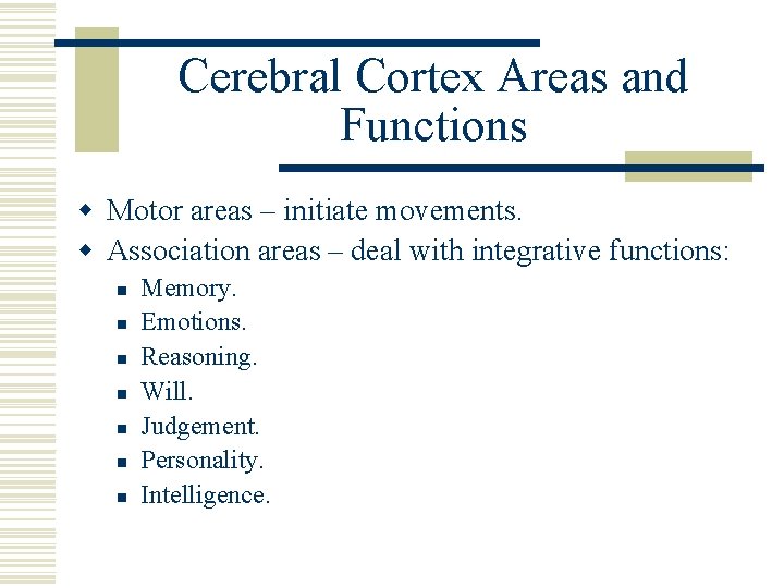 Cerebral Cortex Areas and Functions w Motor areas – initiate movements. w Association areas