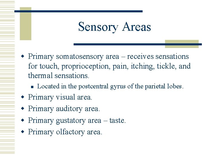 Sensory Areas w Primary somatosensory area – receives sensations for touch, proprioception, pain, itching,