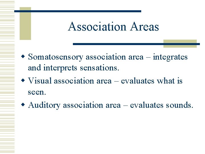 Association Areas w Somatosensory association area – integrates and interprets sensations. w Visual association