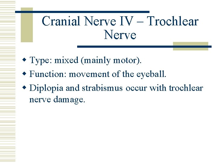 Cranial Nerve IV – Trochlear Nerve w Type: mixed (mainly motor). w Function: movement