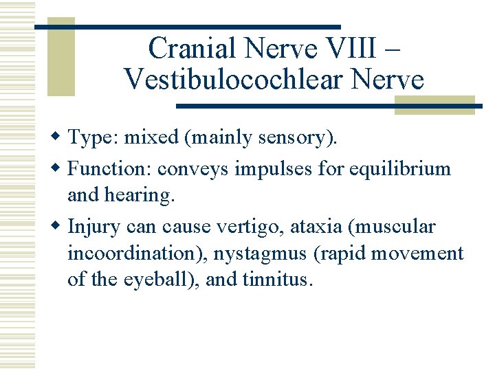 Cranial Nerve VIII – Vestibulocochlear Nerve w Type: mixed (mainly sensory). w Function: conveys