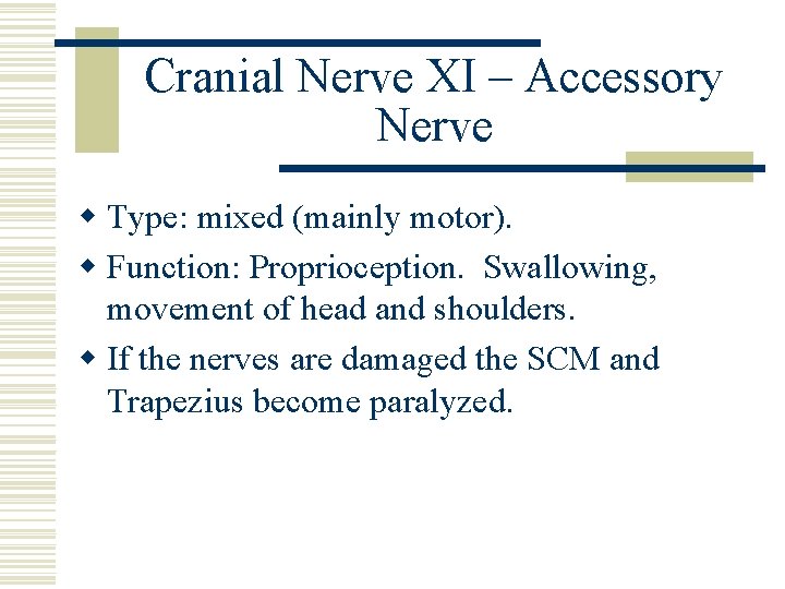 Cranial Nerve XI – Accessory Nerve w Type: mixed (mainly motor). w Function: Proprioception.