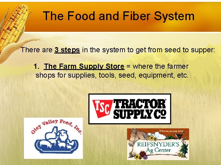 The Food and Fiber System There are 3 steps in the system to get