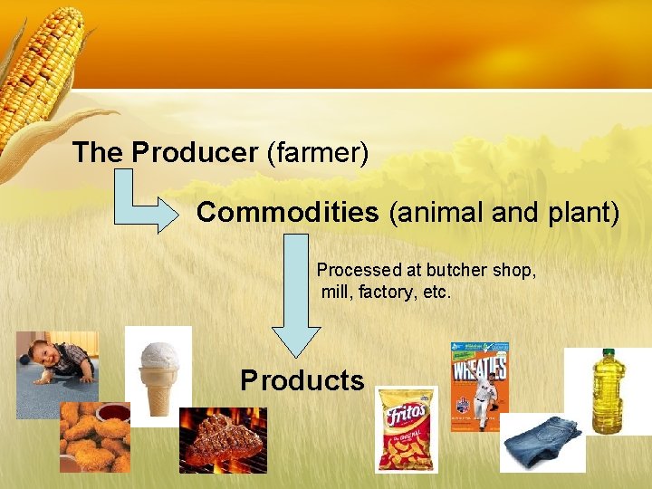 The Producer (farmer) Commodities (animal and plant) Processed at butcher shop, mill, factory, etc.