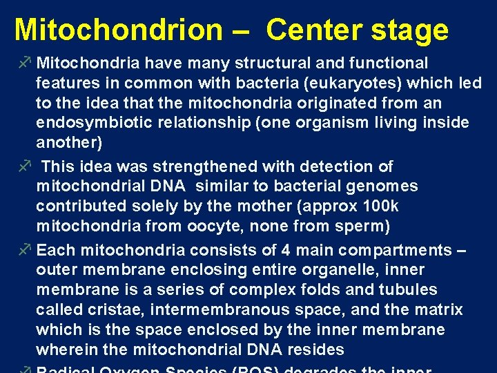 Mitochondrion – Center stage f Mitochondria have many structural and functional features in common