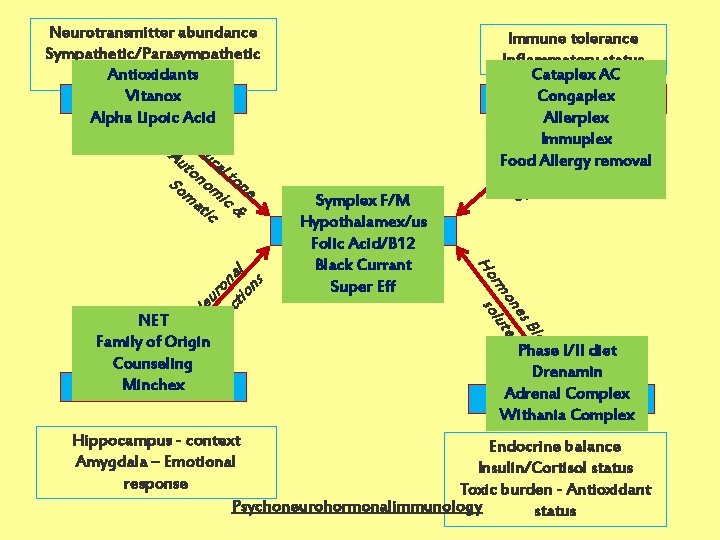 Neurotransmitter abundance Sympathetic/Parasympathetic Antioxidants status Vitanox Nervous System Alpha Lipoic Acid e on &