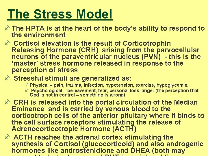 The Stress Model f The HPTA is at the heart of the body’s ability