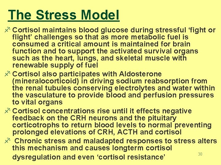 The Stress Model f Cortisol maintains blood glucose during stressful ‘fight or flight’ challenges