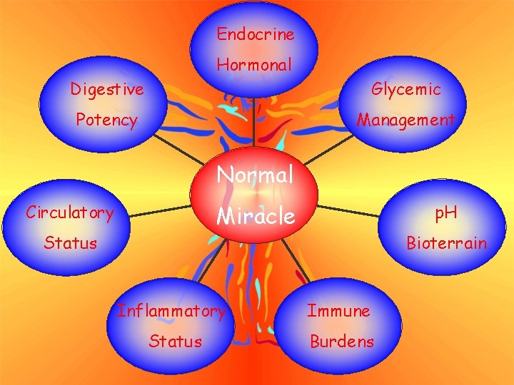 Endocrine Hormonal Digestive Glycemic Potency Management Normal Miracle Circulatory Status p. H Bioterrain Inflammatory