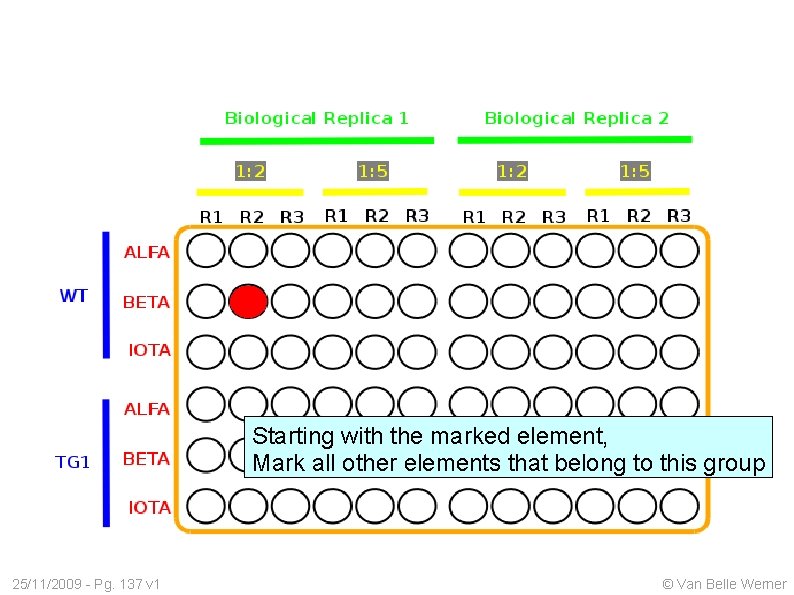 Starting with the marked element, Mark all other elements that belong to this group