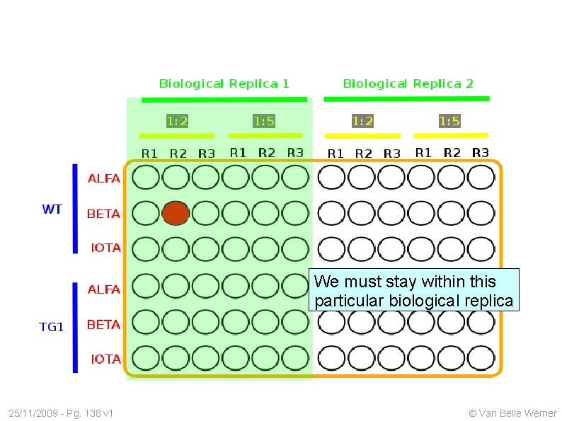 We must stay within this particular biological replica 25/11/2009 - Pg. 138 v 1