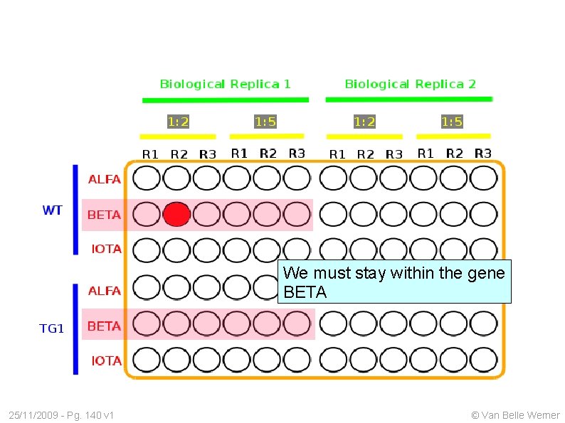 We must stay within the gene BETA 25/11/2009 - Pg. 140 v 1 ©