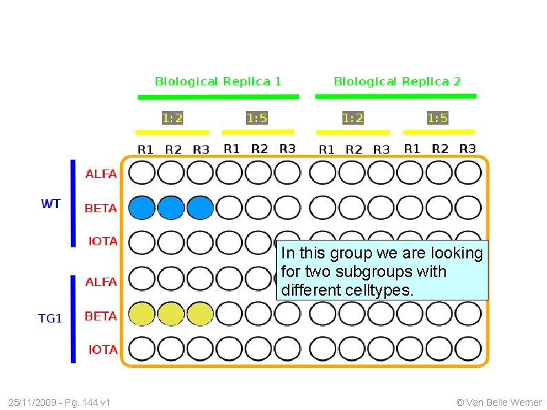 In this group we are looking for two subgroups with different celltypes. 25/11/2009 -