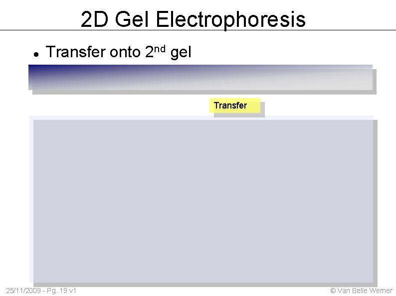 2 D Gel Electrophoresis Transfer onto 2 nd gel Transfer 25/11/2009 - Pg. 19