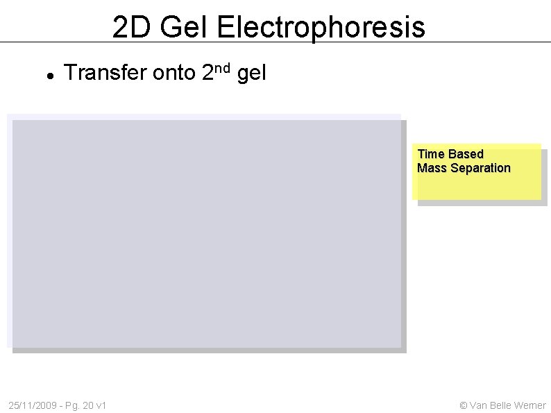 2 D Gel Electrophoresis Transfer onto 2 nd gel Time Based Mass Separation 25/11/2009