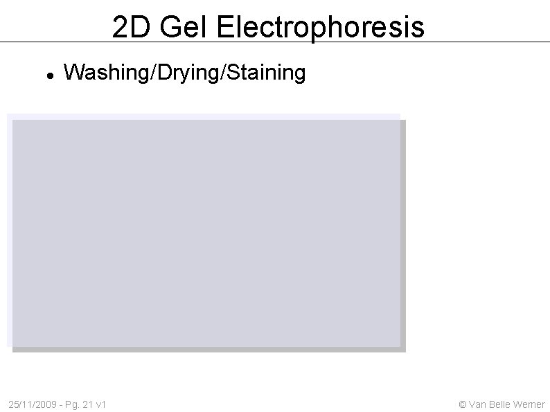 2 D Gel Electrophoresis Washing/Drying/Staining 25/11/2009 - Pg. 21 v 1 © Van Belle