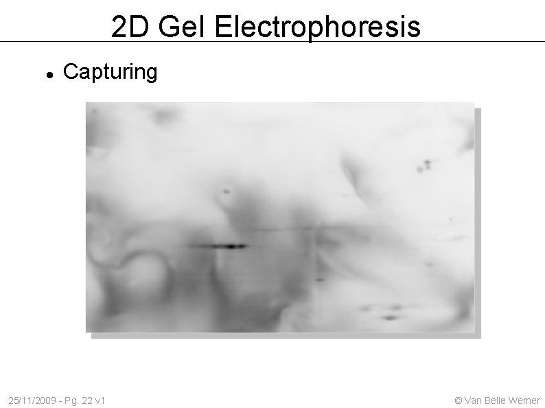 2 D Gel Electrophoresis Capturing 25/11/2009 - Pg. 22 v 1 © Van Belle