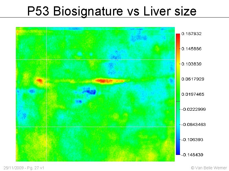 P 53 Biosignature vs Liver size 25/11/2009 - Pg. 27 v 1 © Van