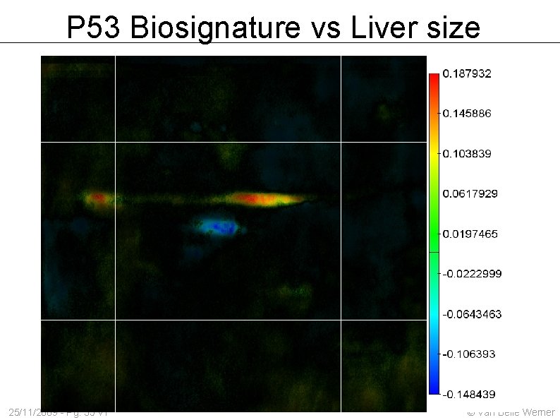 P 53 Biosignature vs Liver size 25/11/2009 - Pg. 35 v 1 © Van
