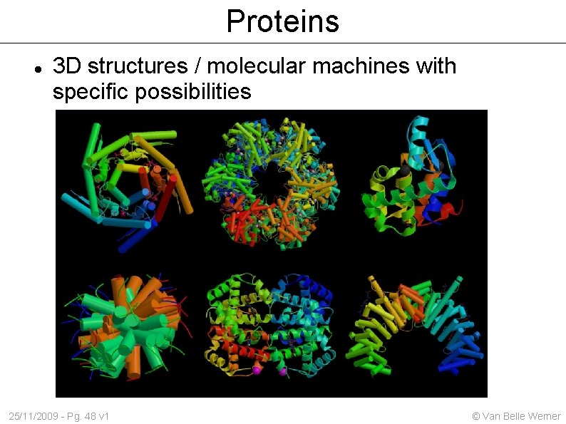 Proteins 3 D structures / molecular machines with specific possibilities 25/11/2009 - Pg. 48